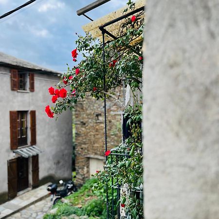Tres Jolie Maison Aux Portes Du Cap Corse Sisco 외부 사진