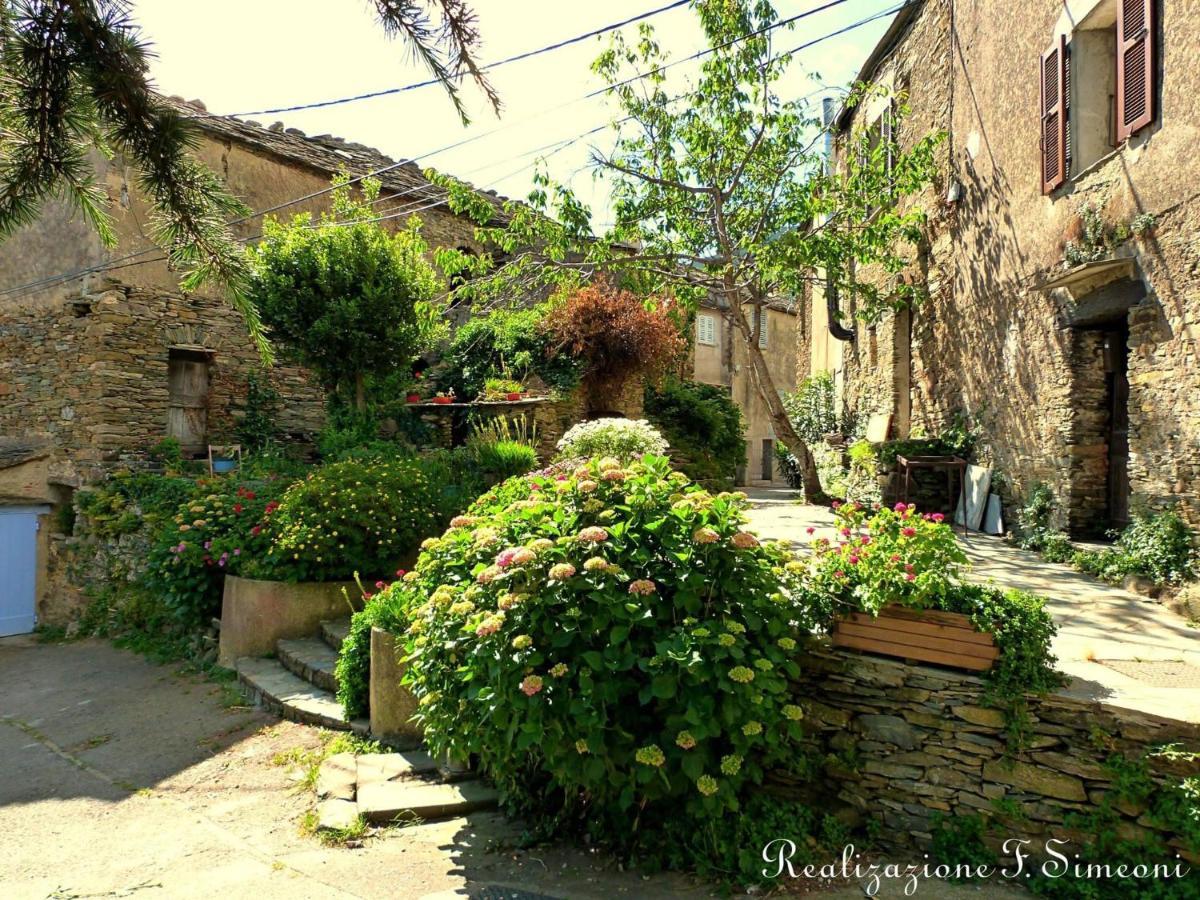 Tres Jolie Maison Aux Portes Du Cap Corse Sisco 외부 사진