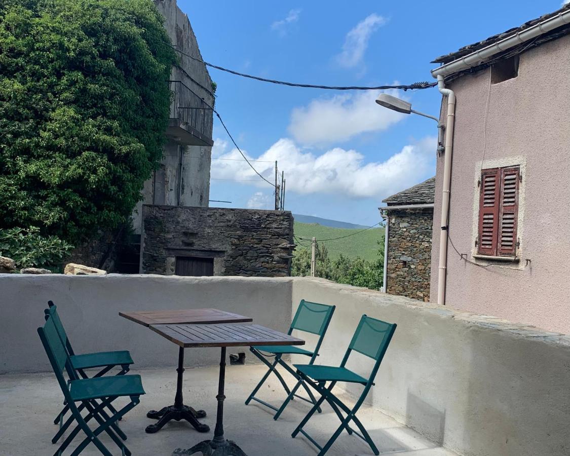 Tres Jolie Maison Aux Portes Du Cap Corse Sisco 외부 사진