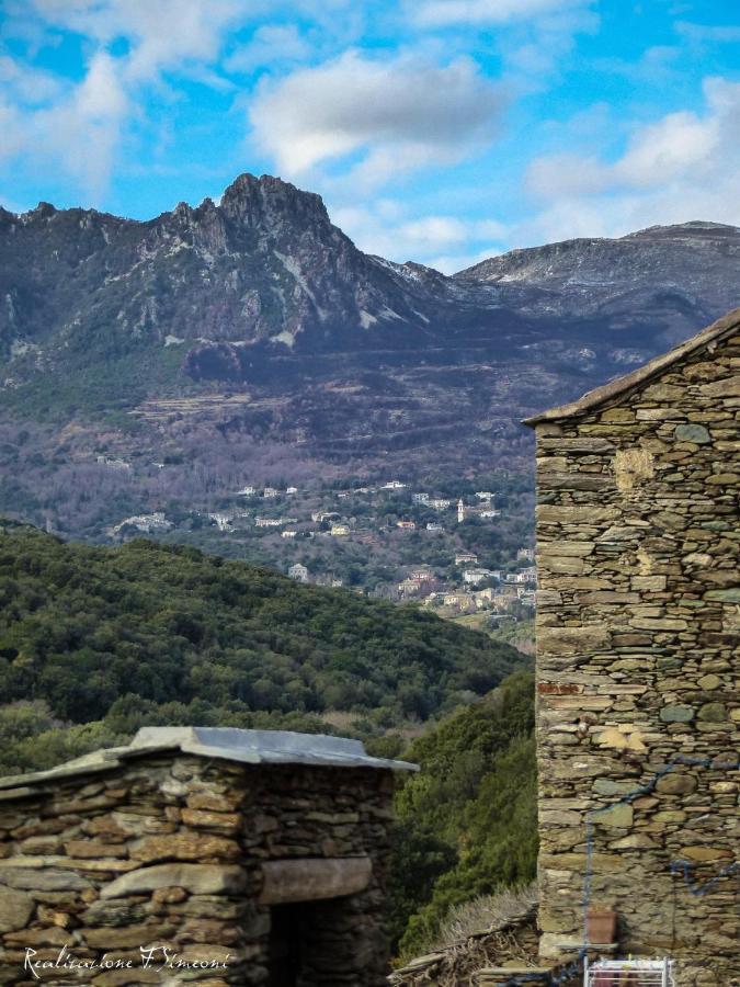Tres Jolie Maison Aux Portes Du Cap Corse Sisco 외부 사진