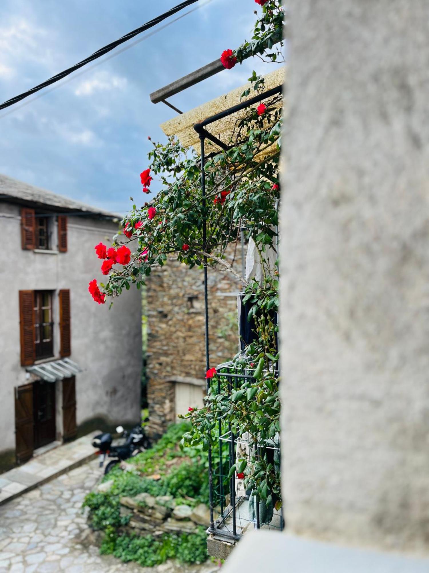 Tres Jolie Maison Aux Portes Du Cap Corse Sisco 외부 사진
